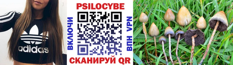 Псилоцибиновые грибы прущие грибы  закладки  Белоярский 