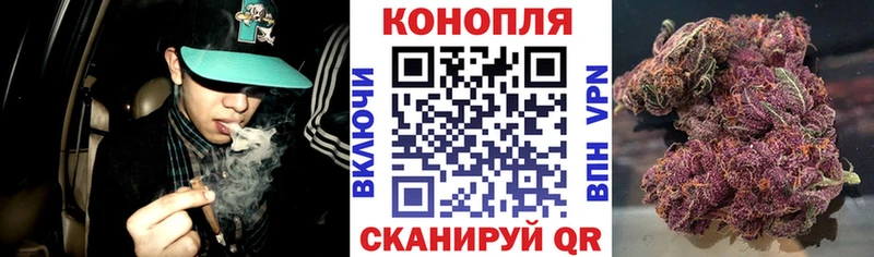 где найти наркотики  площадка какой сайт  МАРИХУАНА Amnesia  Белоярский 